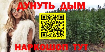 кокс Нальчик