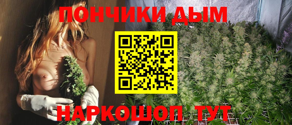 Бошки марихуана марихуана  Шишки марихуана сатива  Старая Купавна  Вход с VPN  Марихуана ГИДРОПОН  Марихуана THC 21% 